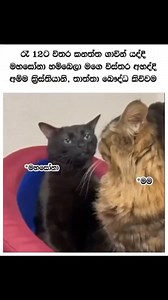 394K views · 6.2K reactions |  | Love is the Answer | Facebook