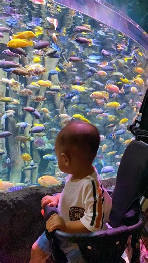 Enggal travel Banten (@enggaltravel)’s videos with suara asli - Enggal travel Banten