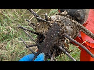 Cow Hoof FIX Cut ,Trim, Cleaning Screw Nails From Cow's Foot