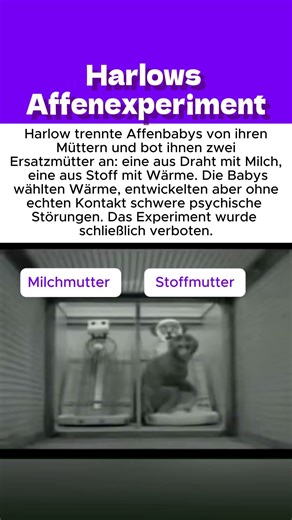 Harlows Affenexperiment