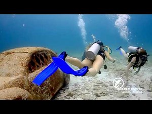 Scuba Diving Tour Cancun & PADI Courses in Cancun
