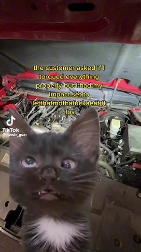 5.9K views · 65 reactions | DownShift on Reels | Facebook