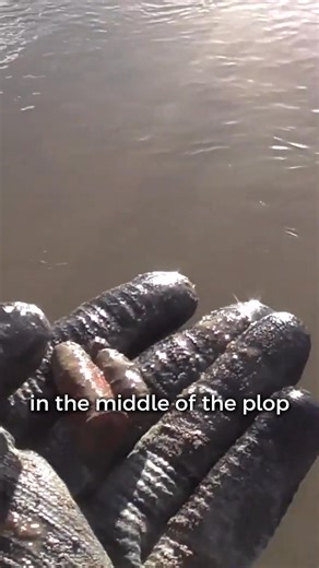 The Richmond hoard we uncovered mudlarking! | Si-finds Thames Mudlark