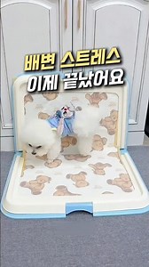No more potty stress for my pup