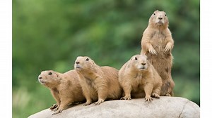 Episode 13: Peripheral Awareness: The Power of Seeing What You Aren't Looking At