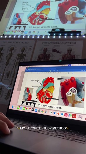 This method has helped me apply my knowledge very efficiently and effectively! I’m able to write on my white board adding notes to help remember things getting a closer look into things! 🫧🧿 (I know I spelt descending wrong) thx mom #college #whiteboardstudying #goodnotes #anatomyandphysiology2 #testday