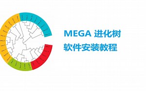 MEGA 7 构建进化树工具 下载如何安装，女生快速学会