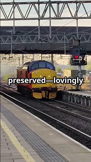 How Fans Kept the 37 Alive #class37 #loco #locomotive #railway #fyp