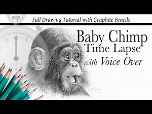 Drawing a Baby Chimp with Graphite Pencils