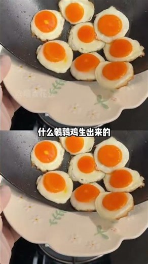 Cafeteria Cooking Secret: Food Reproduction Unveiled