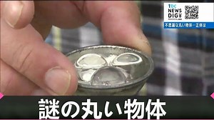 自宅前に謎の“透明な球体”「触るとぶにょ」いったいこれはナニ？調べてみると・・・ | TBS NEWS DIG