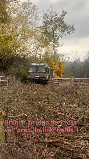 🌳 TREE MOVING IN THE COTSWOLDS 🌳 What a week it’s been! Pete and Ivan have been doing a fabulous job moving trees across this beautiful Cotswolds site. The numbers? Just under 80 trees relocated in 4 days! 💪 The challenge? A really wet patch between two fields that needed crossing. The solution? We built a temporary “branch bridge” using… you guessed it… branches! And it’s working brilliantly, allowing us to keep moving trees from one area to another safely and efficiently. If the weather hol