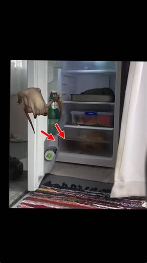 Goon-bo-Tube on Instagram: "Garry’s Mod (GMod) is a sandbox game released in 2006 that lets players create anything using the Source engine. #gmod #gamingfacts #sandboxgame It has no set objectives, making player-made mods, maps, and game modes the core of the experience. #modding #pcgaming valve GMod became famous for machinima videos, roleplay servers, and chaotic physics-based gameplay. gamingculture steamgames videogames"