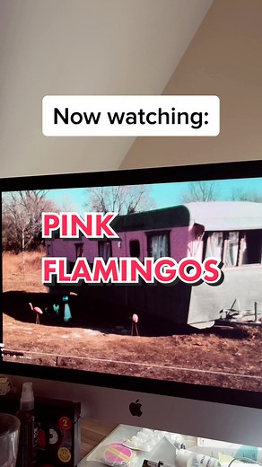 Pink Flamingos: An Overview of Disturbing Scenes