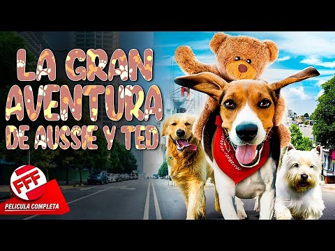 LA GRAN AVENTURA DE AUSSIE Y TED | Película Completa PARA TODA LA FAMILIA en Español