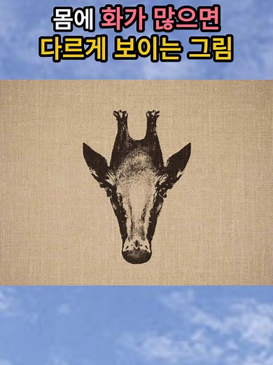 화가 많은 사람과 적은 사람의 특징 비교