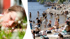 Varning för giftig mördarväxt – trivs nära badplatser i Sverige