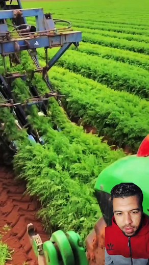 9.9K views · 45 reactions | سيمو semo on Reels | Facebook