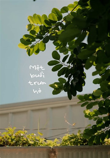 Một Buổi Trưa Hè Tươi Mát Với Fujifilm