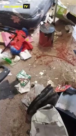 Chicago Section 8 Tenants are Heathens | HoltonWiseTV Highlights