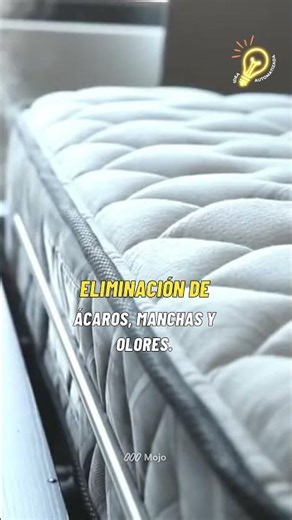 Earn Passive Income With This Steam Mattress Cleaning Machine