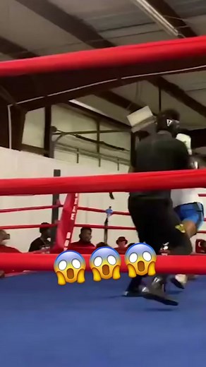 Boxer Knocked Out of the Ring in Stunning Knockout Moment