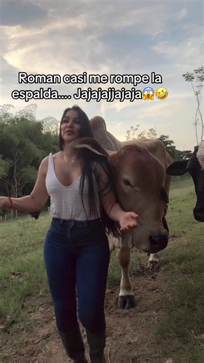 #humor #campo #ganado