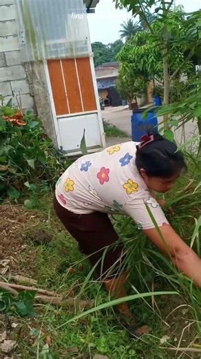 Konon kata nya,Bener ngk gais?Berkebun di perumahan kota🏘️
