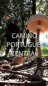 Camino Portugeus Central Day 11Padron to Santiago Silent
