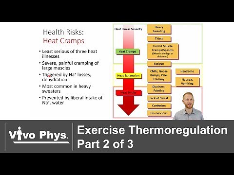 Exercise Thermoregulation Part 2 of 3 - Exercise in the Heat