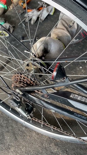 Installing a Rear Bicycle Wheel 🔧🚲