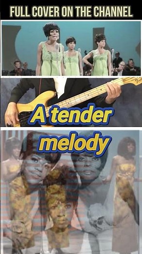 I HEAR A SYMPHONY– THE SUPREMES | FRANKS BASS COVERS #microshorts