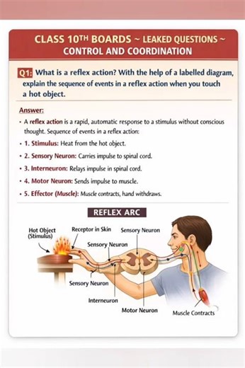 CLASS 10TH BOARDS 🔥 QUESTION LEAKED? | CONTROL ANDCOORDINATION | SCIENCE 5 MARKS DIAGRAM | CBSE 2026