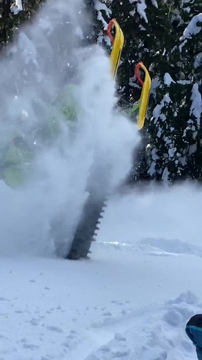 Best Sounding Sled Names Revealed!