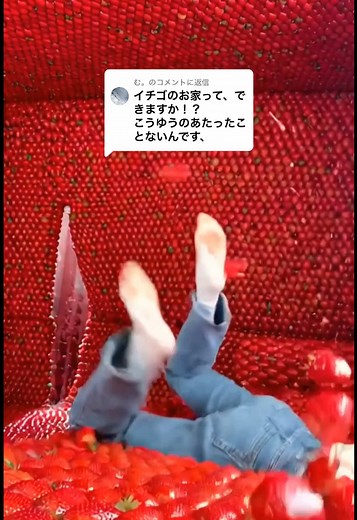 いちごハウスの作り方と材料集めの旅🍓