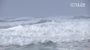 50K views · 904 reactions | “Our hearts as you can imagine could not be more broken as both children were loved beyond measure by our entire family and so many others,” according to a family statement. Story: kptv.tv/2NoxHel (The location in the video is incorrect and should state Falcon Cove) | FOX 12 Oregon | Facebook