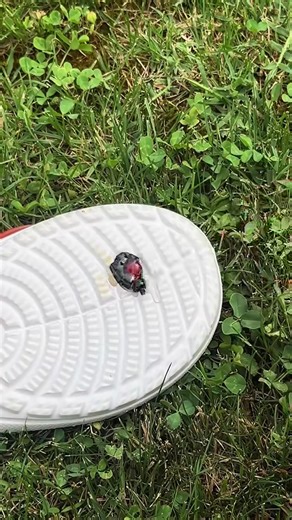 Flip flop repair with zip ties | Genius Club - Asia