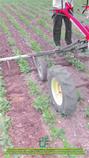 زراعة الصفوف الدقيقة باستخدام جرار ذي عجلتين