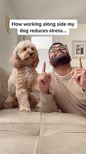 220401_#ad CESAR is helping pet parents advocate for pet-friendly workspaces See link in bio | Luna Cockapoo
