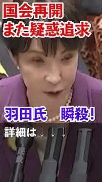 高市総理の肩書疑惑？瞬殺！羽田次郎(立憲民主党)国会再開でまた疑惑追及！決算委員会 2026年7月6日【龍之介channel】