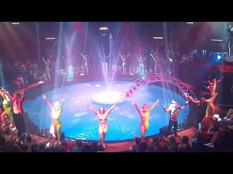 Great yarmouth hippodrome circus summer spectacular 2022