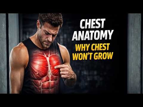 Chest Muscles Anatomy Explained Simply | Beginners Must Watch