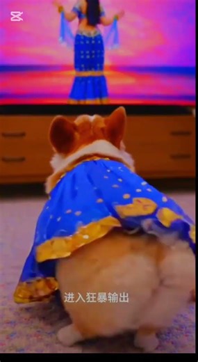 Cute Dancing Puppy 🐶💃 | Funny Dog Dance Video 😂 | Viral Puppy Entertainment #short #shortvideo