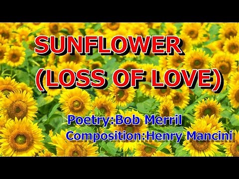 ひまわり カラオケ 英語字幕