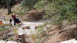 Bison hand water pump | Bison Pumps | Facebook