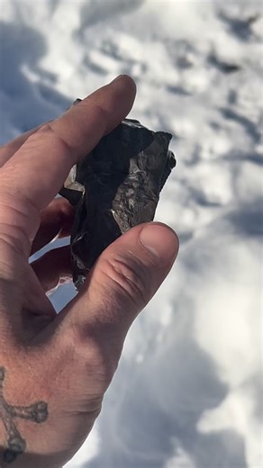 A stunning trilobite from Jorf. I had heard about how difficult these trilobites are to prepare and tried my hand at a few this week. Austerops was a Devonian phacopid trilobite and the preservation and inflation on this specimen is incredible (wet look achieved by a spray of isopropyl alcohol; for those who’s breath quickens at the sight of possible coatings, it’s temporary and doesn’t hurt the specimen 😁) Typically you can’t scribe this material as it tends to shatter and fracture matrix and 