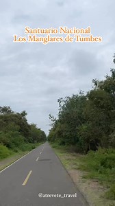 Visita el Santuario Nacional Los Manglares de Tumbes y vive una gran experiencia con 𝐀𝐓𝐑É𝐕𝐄𝐓𝐄 𝐓𝐑𝐀𝐕𝐄𝐋 | Atrévete Travel