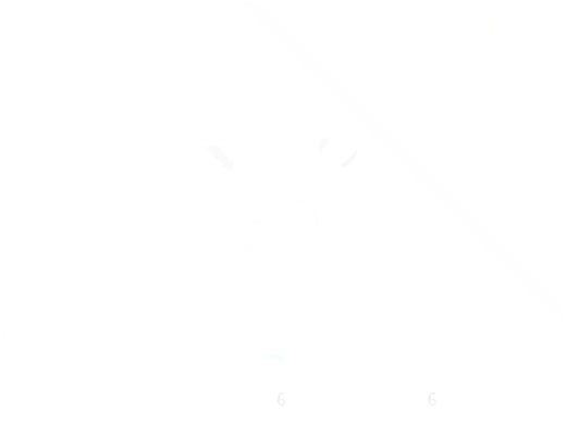 我的安吉拉长大