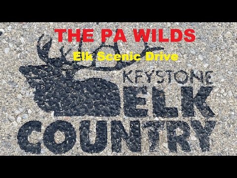 The PA Wilds Elk Scenic Drive Day 1: In Search of the Pennsylvania Elk Herd