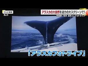 アラスカに魅せられ３０年 写真家・松本紀生さんが地元・松山でフォトライブ 親子連れら感動【愛媛】 (25/12/21 18:03)